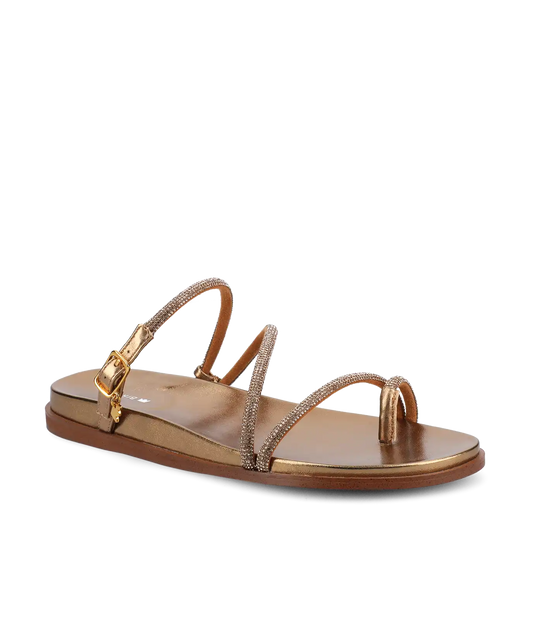 The Sunbird String - Gold Jewels